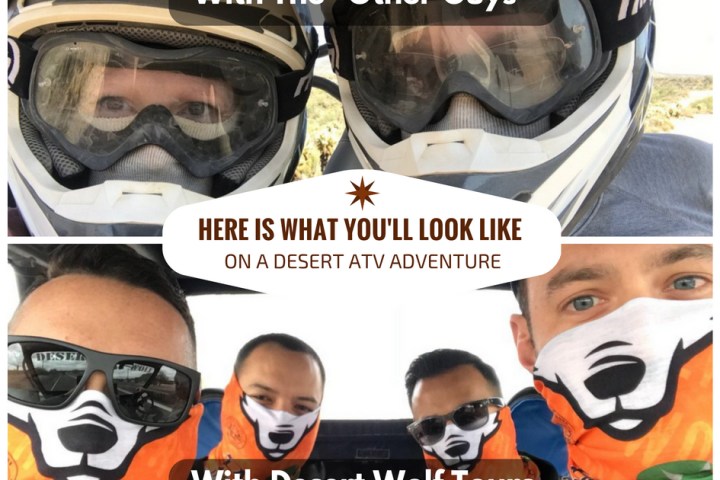 Desert Wolf Tours No Helmet