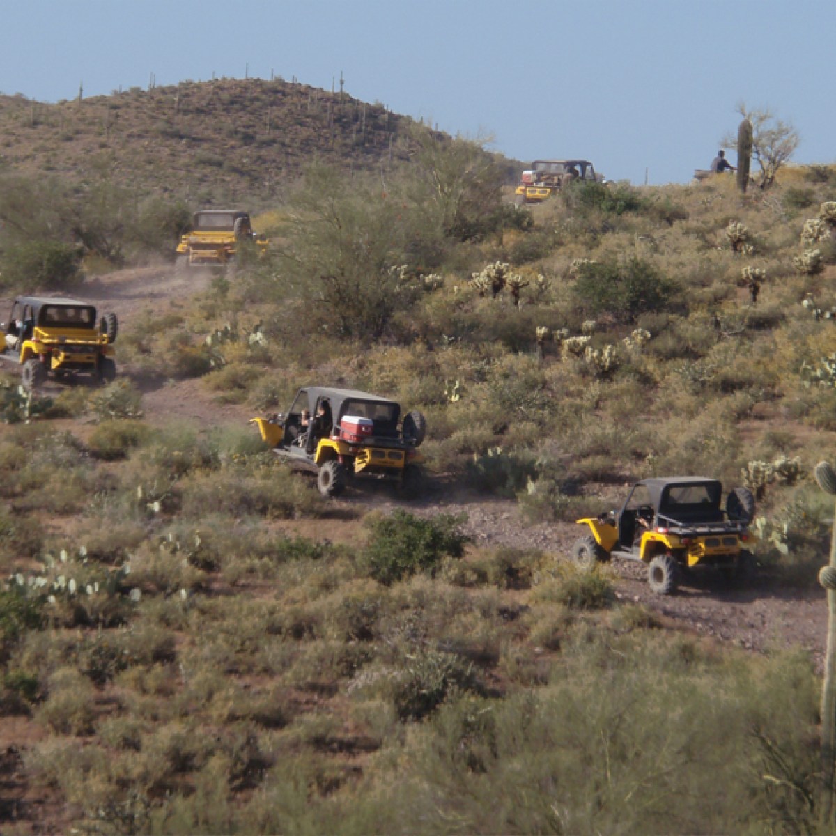 Desert Wolf ATV Tours in Scottsdale, Arizona