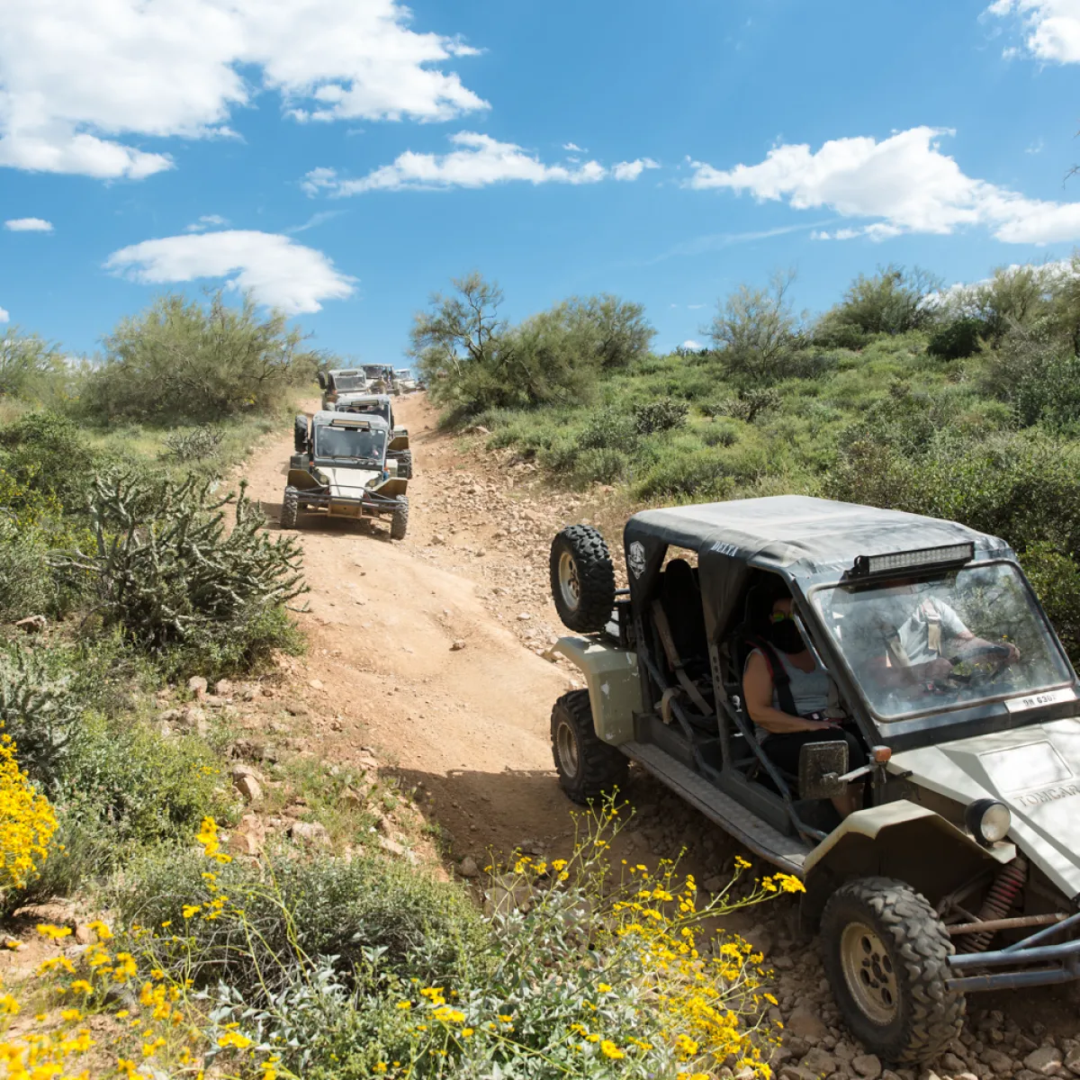 Desert Wolf Tours Scottsdale ATV