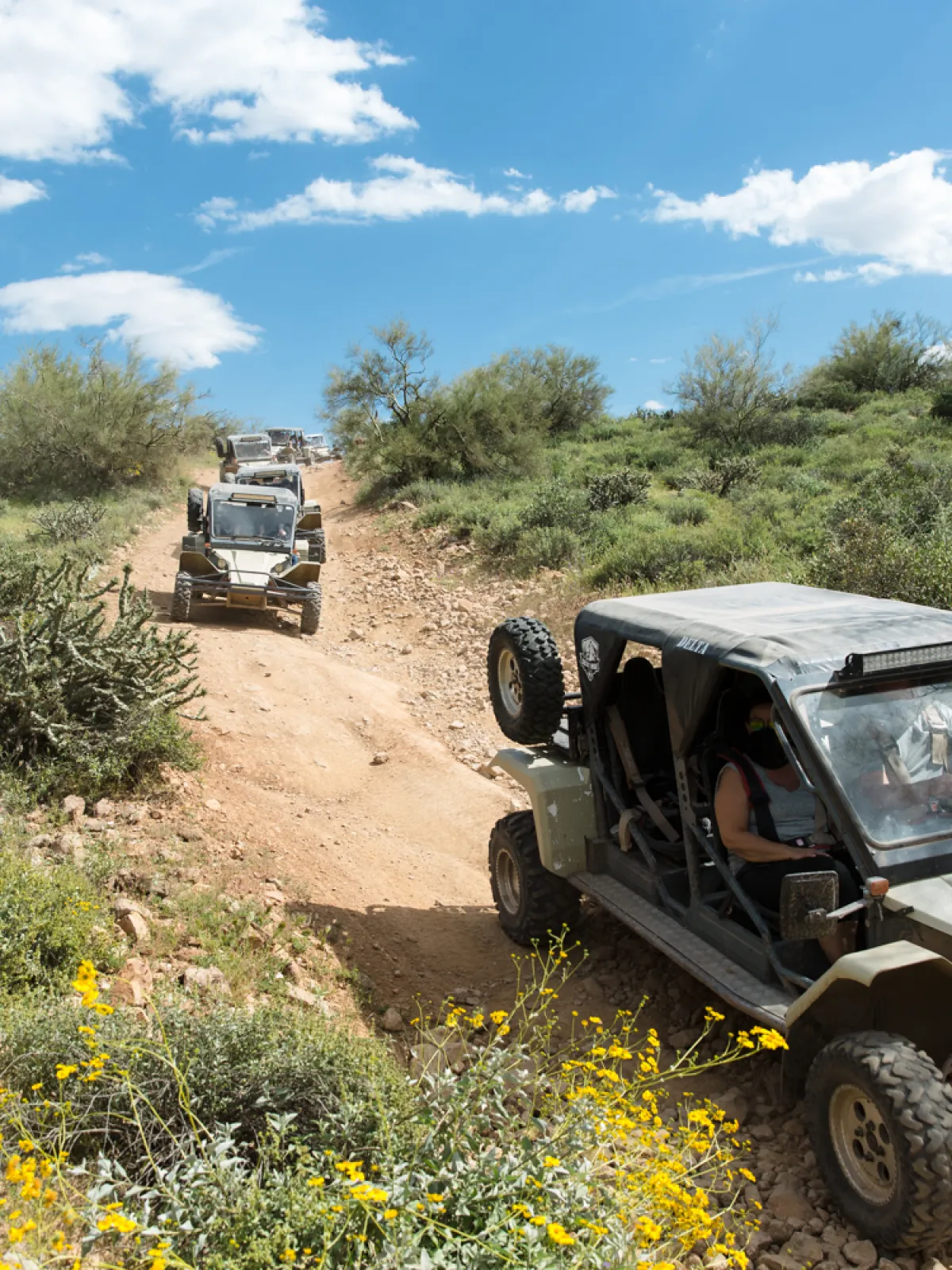 Desert Wolf Tours Scottsdale ATV