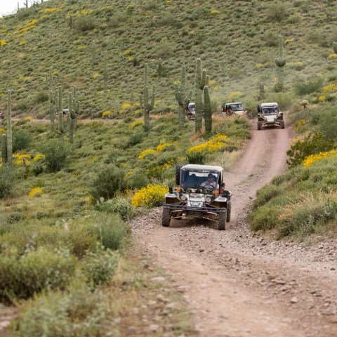Desert Wolf ATV tour Scottsdale Phoenix Bachelor party