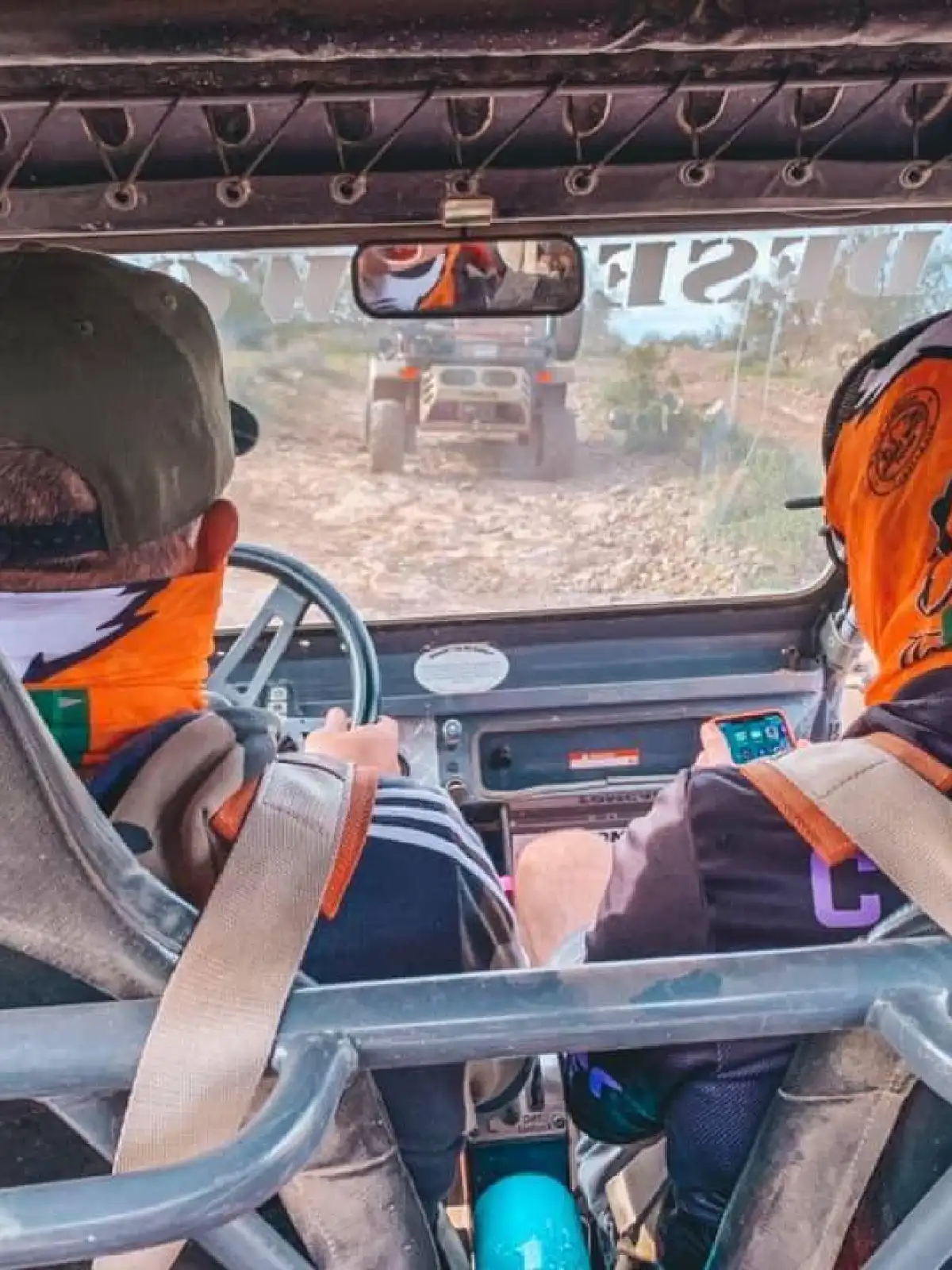 Braving the trails desert wolf tours