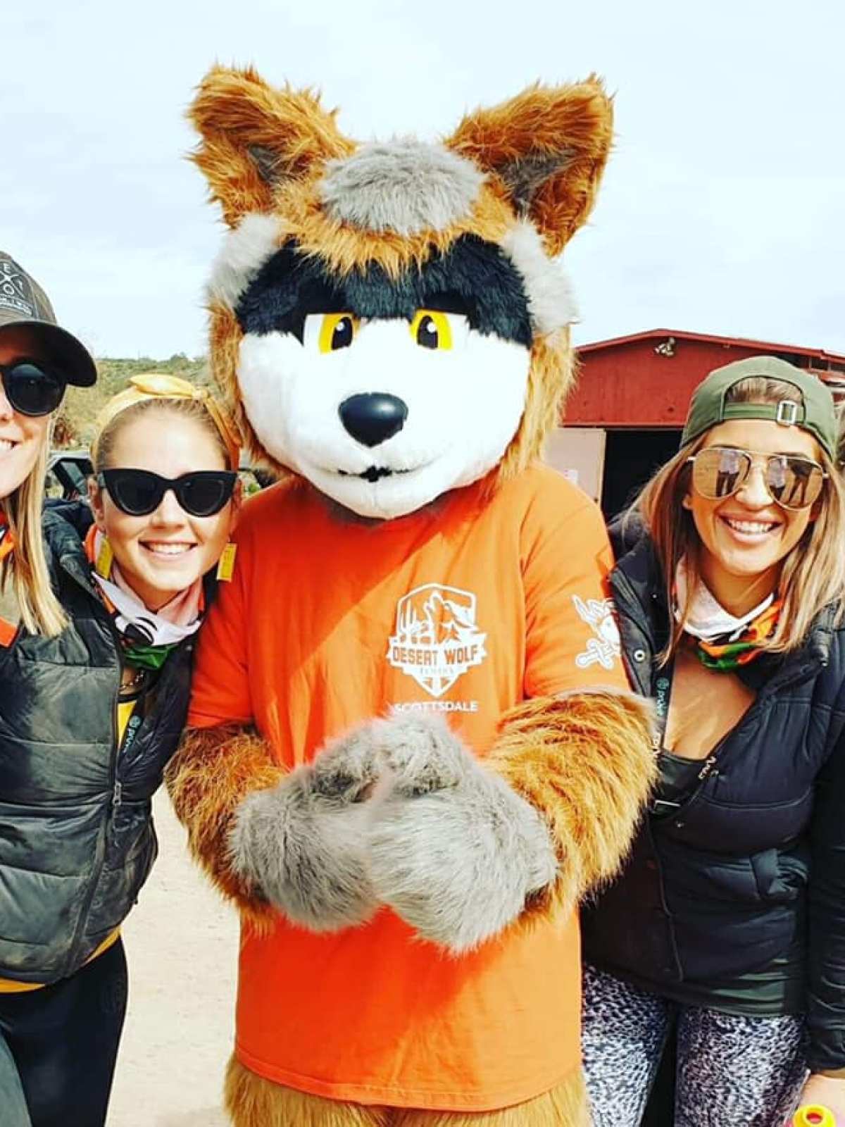 Sunny the Desert Wolf with adventurous guests