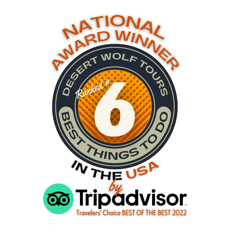 Best Thing To Do in the US by Tripadvisor-Desert Wolf Tours ATV Tours