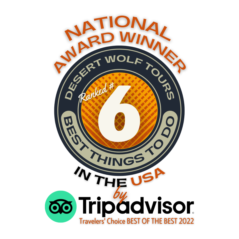 Best Thing To Do in the US by Tripadvisor-Desert Wolf Tours ATV Tours